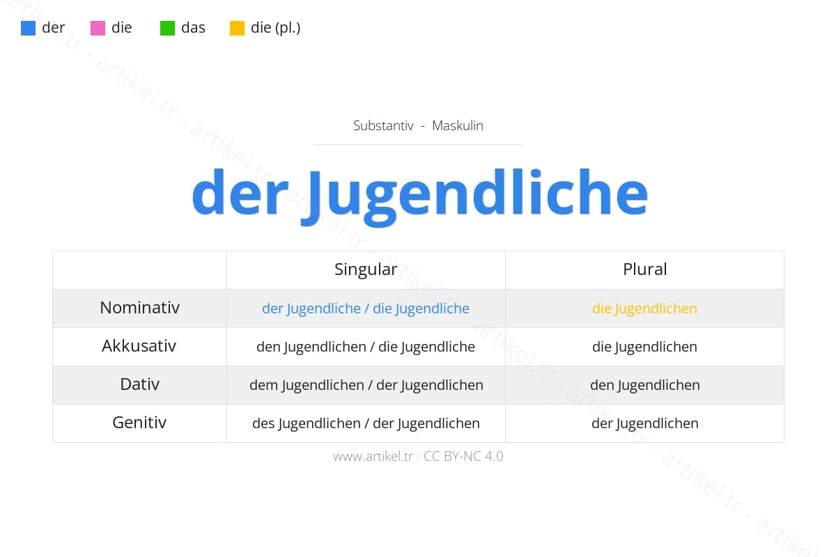 der Jugendliche (masculine) - German article and declension table: nominative, accusative, dative, genitive with examples