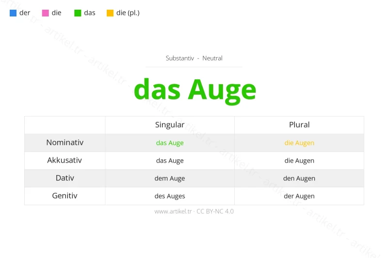 Welcher Artikel ist Auge auf Deutsch?