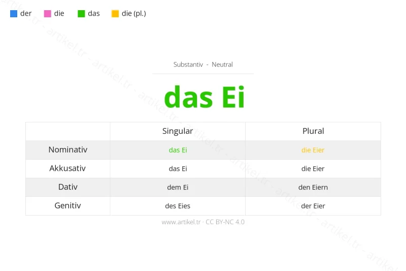 Welcher Artikel ist Ei auf Deutsch?