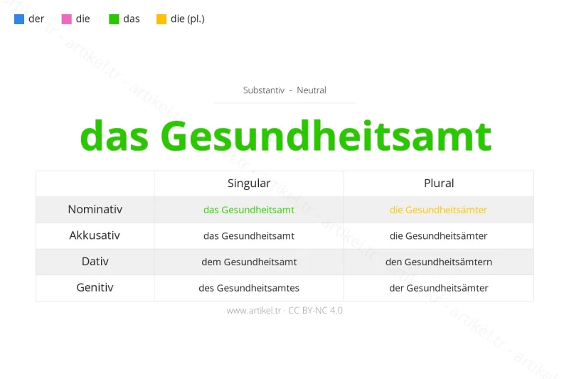 Welcher Artikel ist Gesundheitsamt auf Deutsch?