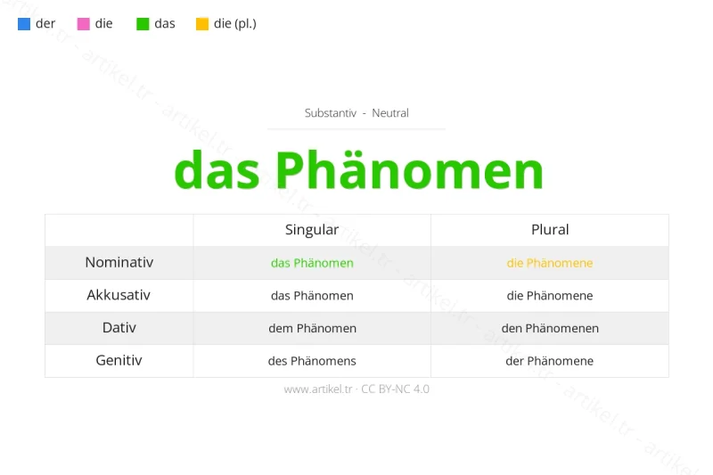 Welcher Artikel ist Phänomen auf Deutsch?