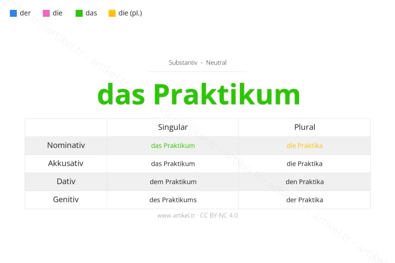 Welcher Artikel ist Praktikum auf Deutsch?