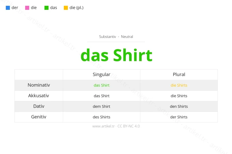 Welcher Artikel ist Shirt auf Deutsch?