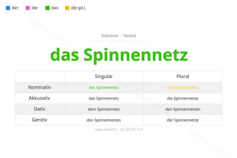 Welcher Artikel ist Spinnennetz auf Deutsch?