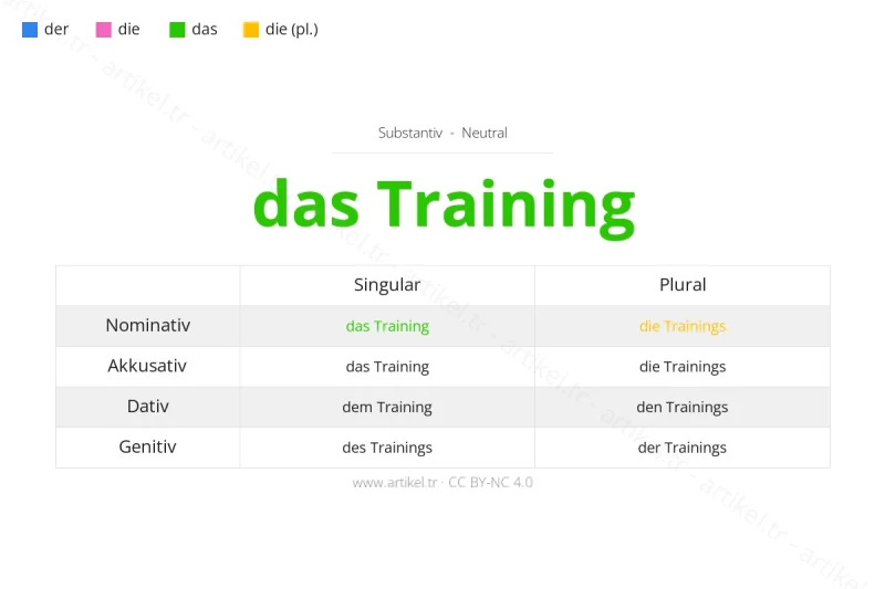 Welcher Artikel ist Training auf Deutsch?