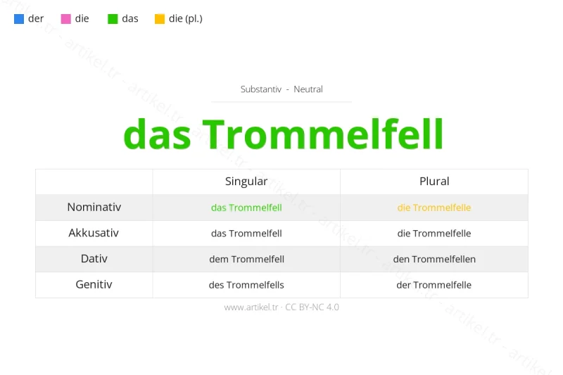 Welcher Artikel ist Trommelfell auf Deutsch?