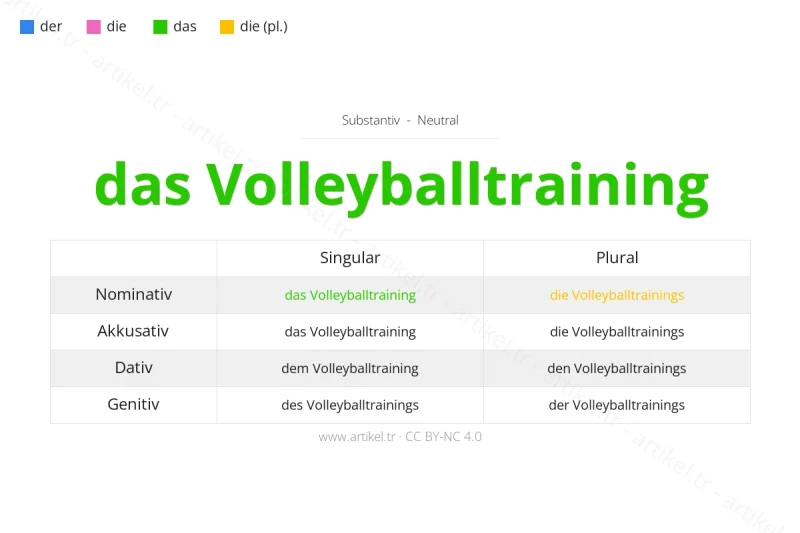 Welcher Artikel ist Volleyballtraining auf Deutsch?