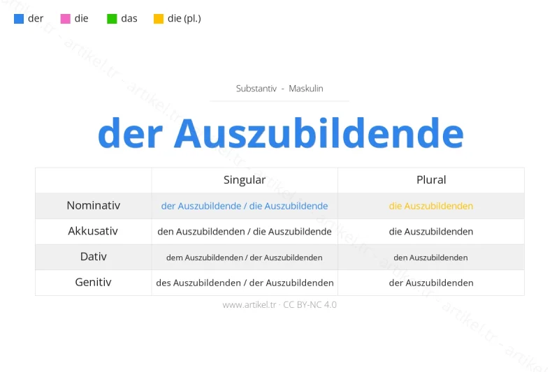 Welcher Artikel ist Auszubildende auf Deutsch?