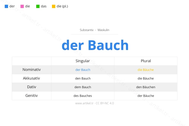 Welcher Artikel ist Bauch auf Deutsch?