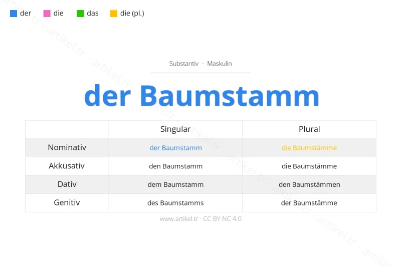 Welcher Artikel ist Baumstamm auf Deutsch?