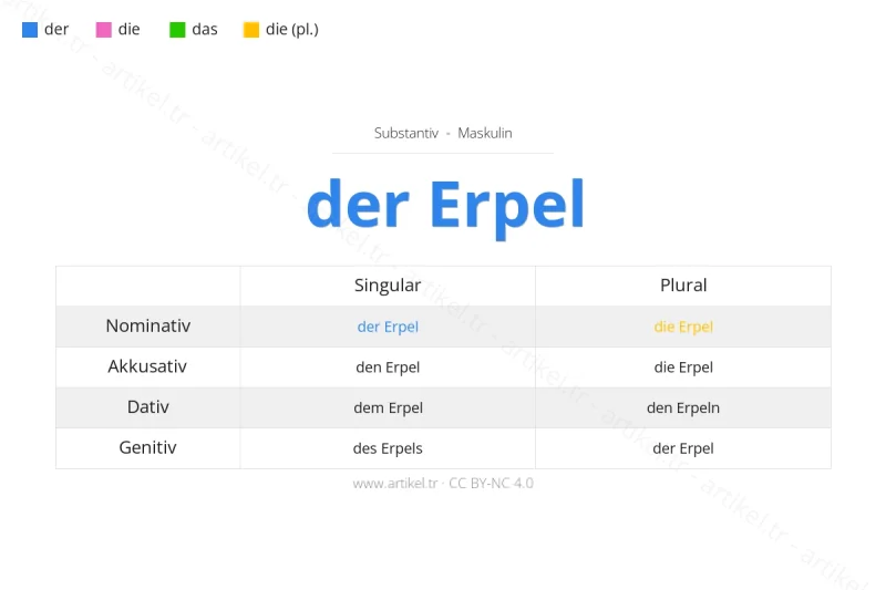 Welcher Artikel ist Erpel auf Deutsch?