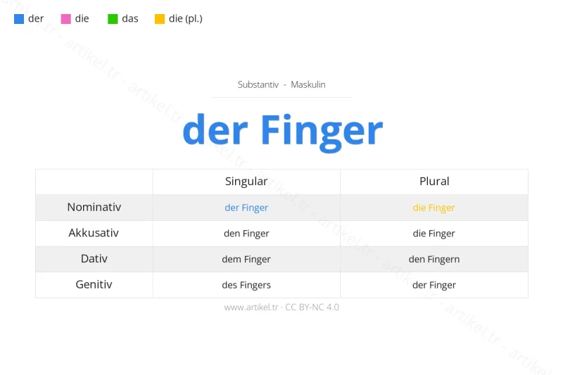Welcher Artikel ist Finger auf Deutsch?