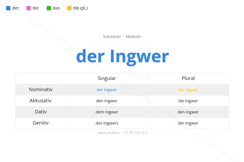 Welcher Artikel ist Ingwer auf Deutsch?