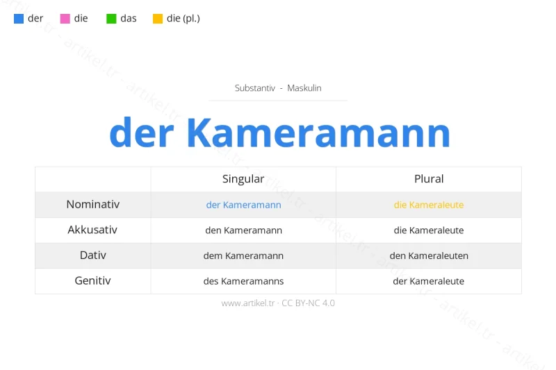 Welcher Artikel ist Kameramann auf Deutsch?