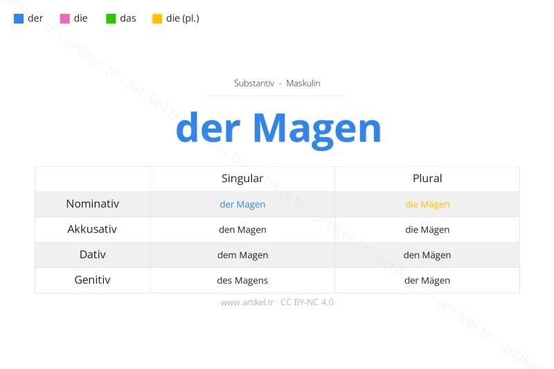 Welcher Artikel ist Magen auf Deutsch?