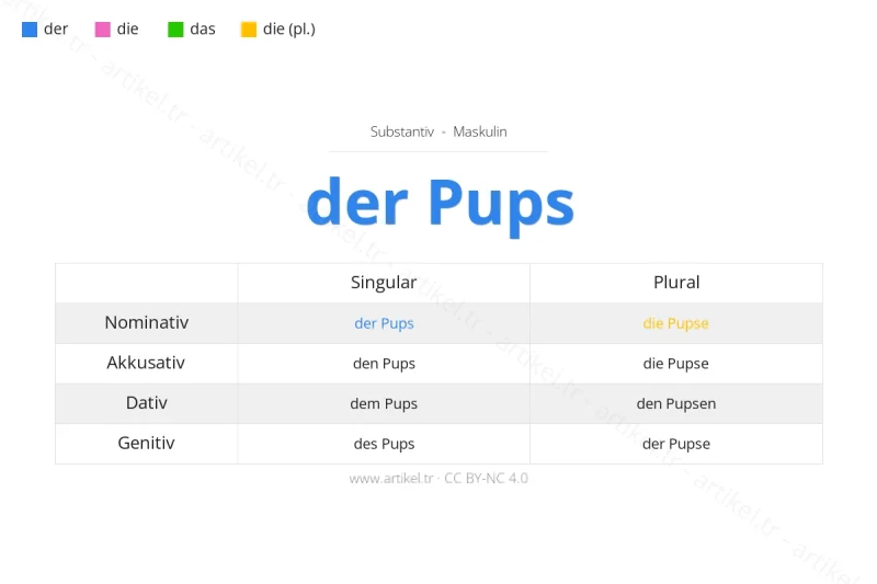 Welcher Artikel ist Pups auf Deutsch?