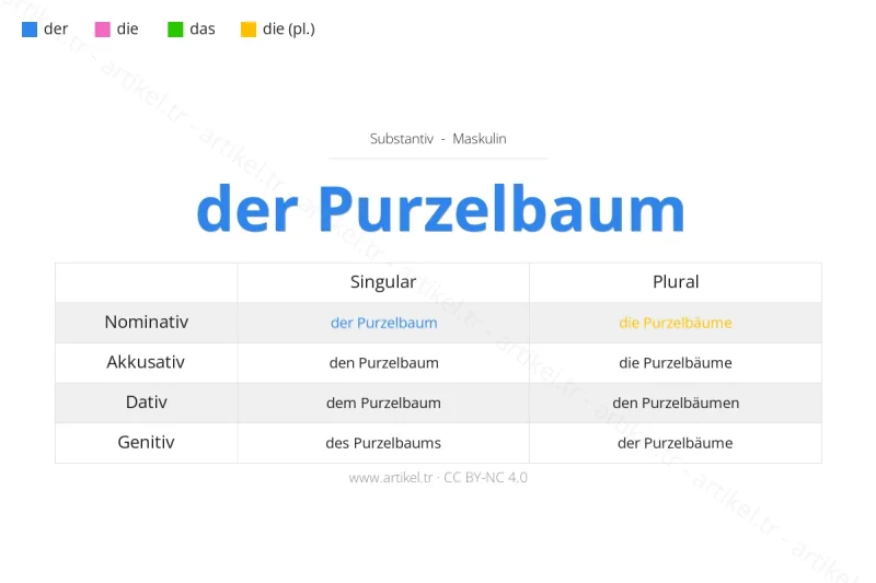 Welcher Artikel ist Purzelbaum auf Deutsch?