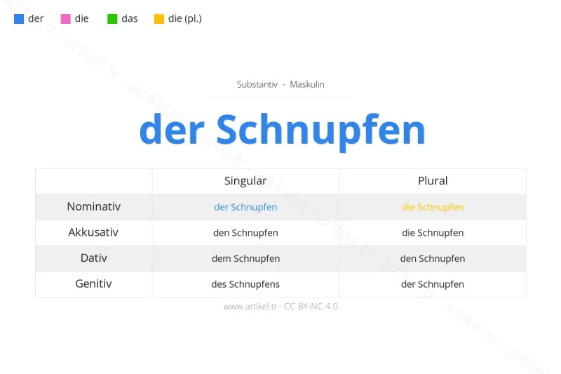 Welcher Artikel ist Schnupfen auf Deutsch?
