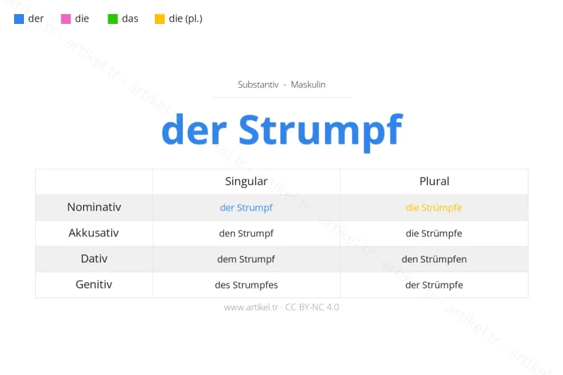 Welcher Artikel ist Strumpf auf Deutsch?