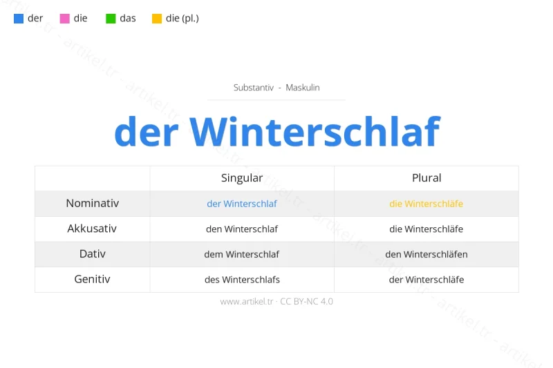 Welcher Artikel ist Winterschlaf auf Deutsch?