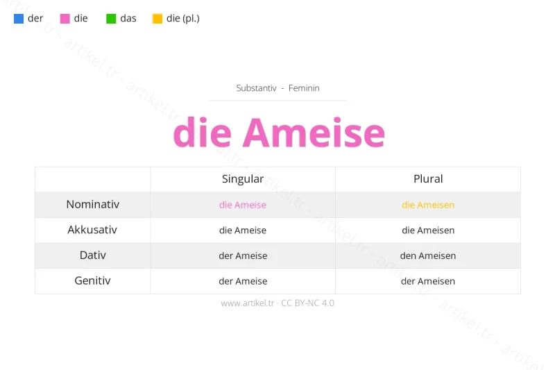 Welcher Artikel ist Ameise auf Deutsch?