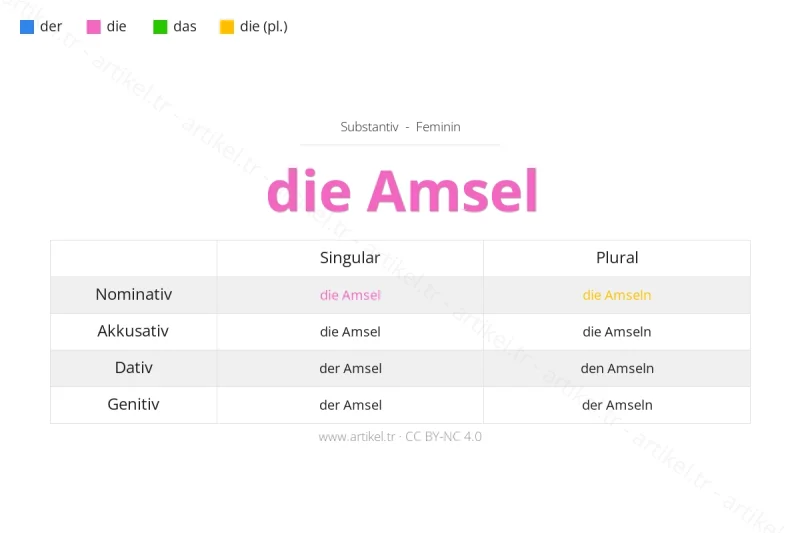 Welcher Artikel ist Amsel auf Deutsch?