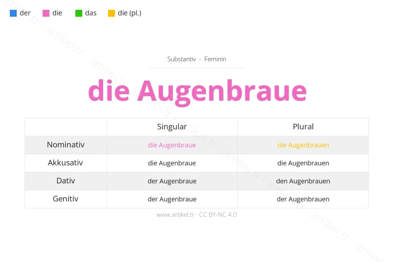 Welcher Artikel ist Augenbraue auf Deutsch?