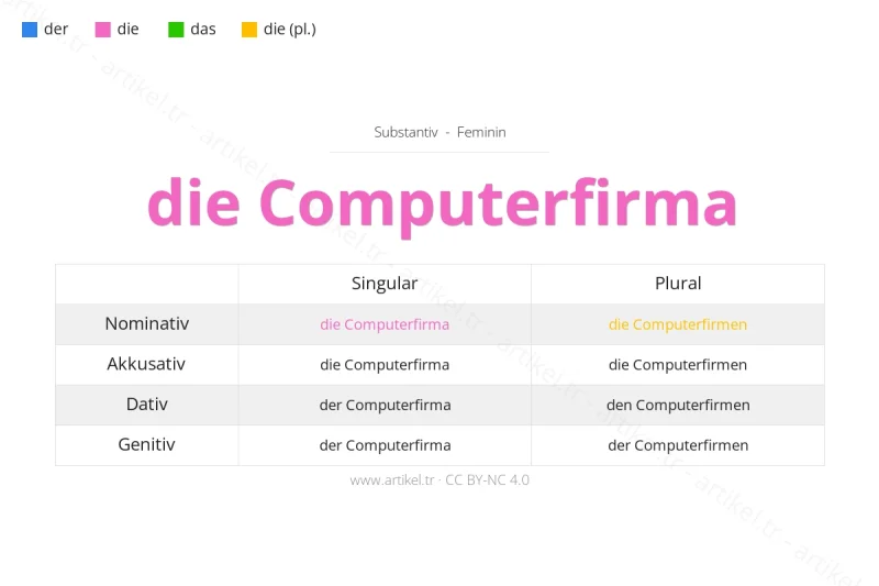 Welcher Artikel ist Computerfirma auf Deutsch?