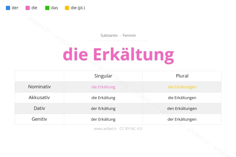 Welcher Artikel ist Erkältung auf Deutsch?