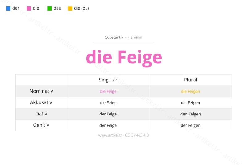 Welcher Artikel ist Feige auf Deutsch?