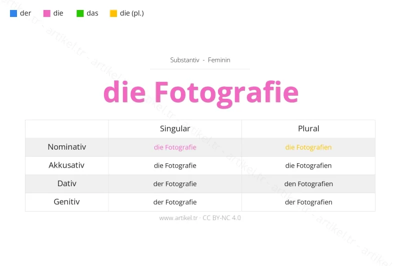 Welcher Artikel ist Fotografie auf Deutsch?