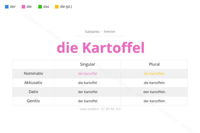 Welcher Artikel ist Kartoffel auf Deutsch?