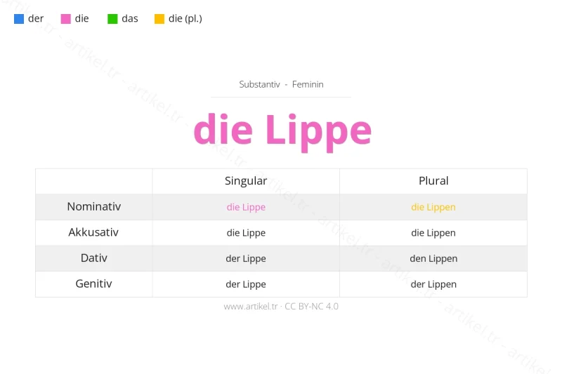 Welcher Artikel ist Lippe auf Deutsch?