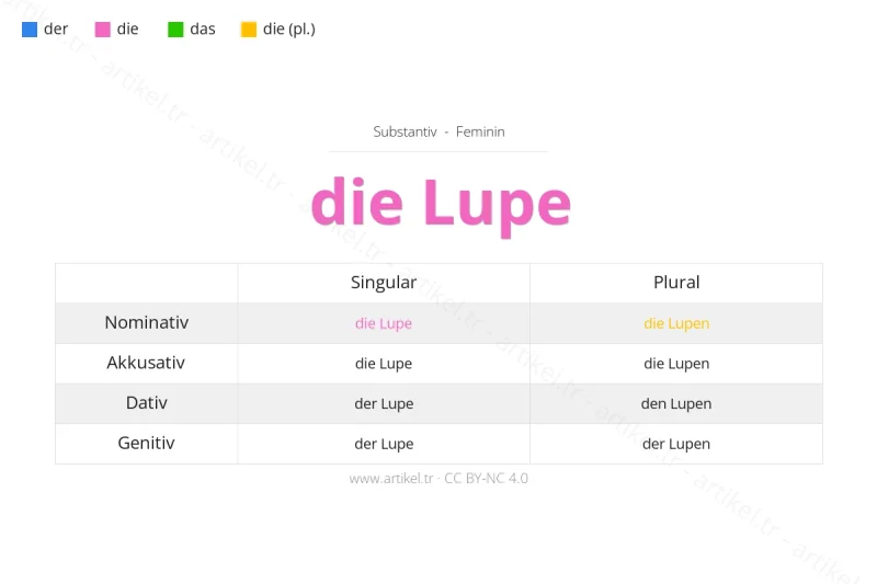 Welcher Artikel ist Lupe auf Deutsch?