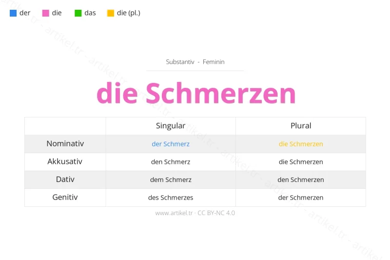Welcher Artikel ist Schmerzen auf Deutsch?