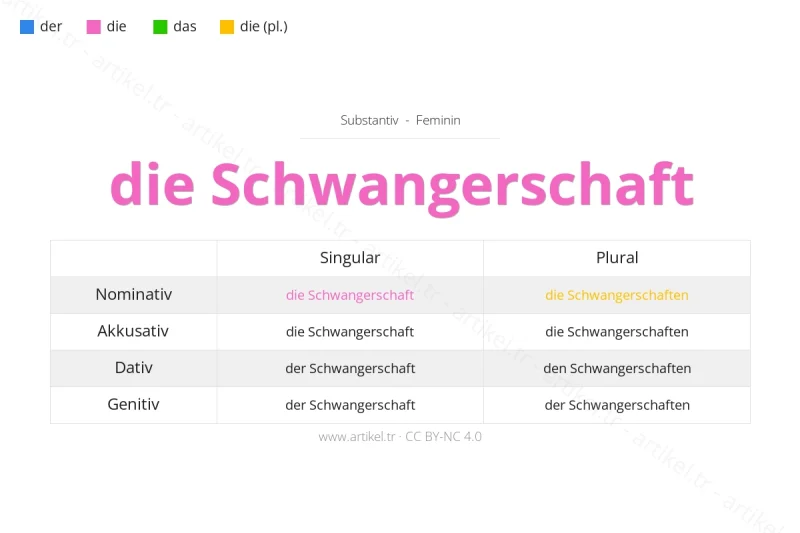 Welcher Artikel ist Schwangerschaft auf Deutsch?