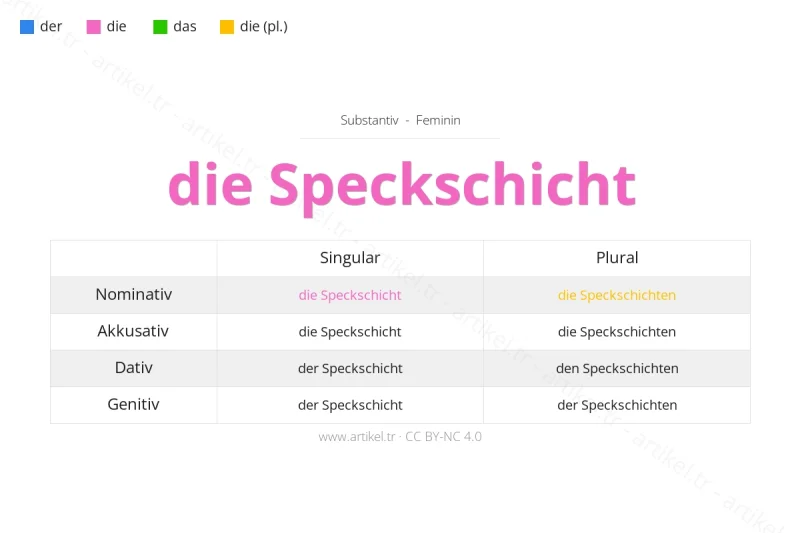 Welcher Artikel ist Speckschicht auf Deutsch?