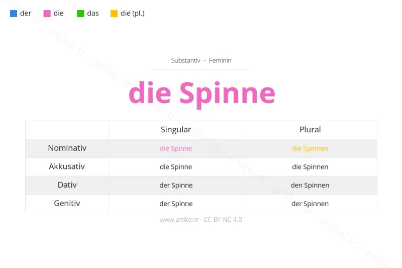 Welcher Artikel ist Spinne auf Deutsch?