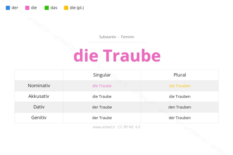 Welcher Artikel ist Traube auf Deutsch?