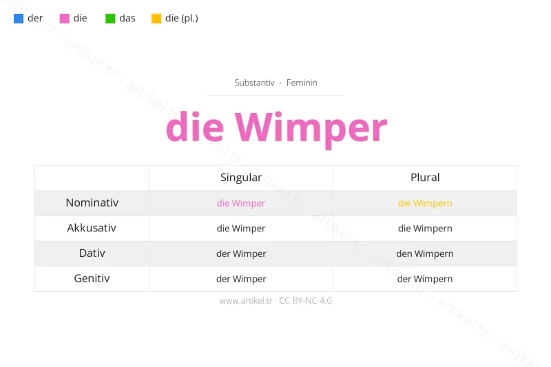 Welcher Artikel ist Wimper auf Deutsch?