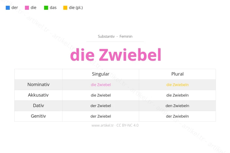 Welcher Artikel ist Zwiebel auf Deutsch?